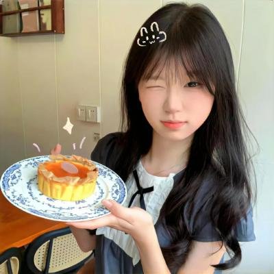 征服北极的人